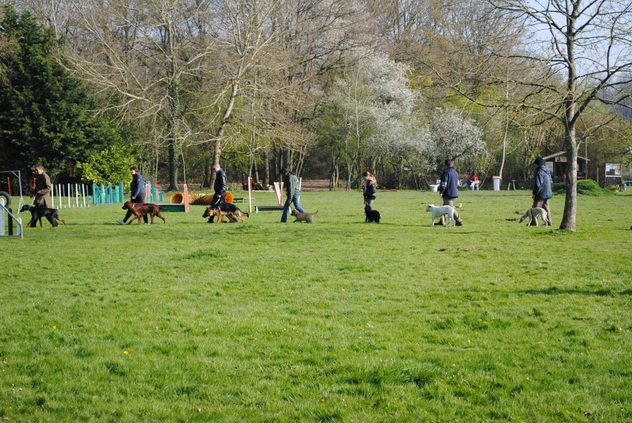 marche aux pieds en laisse