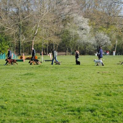 marche aux pieds en laisse