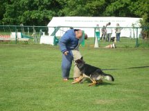 Entrainement de la face