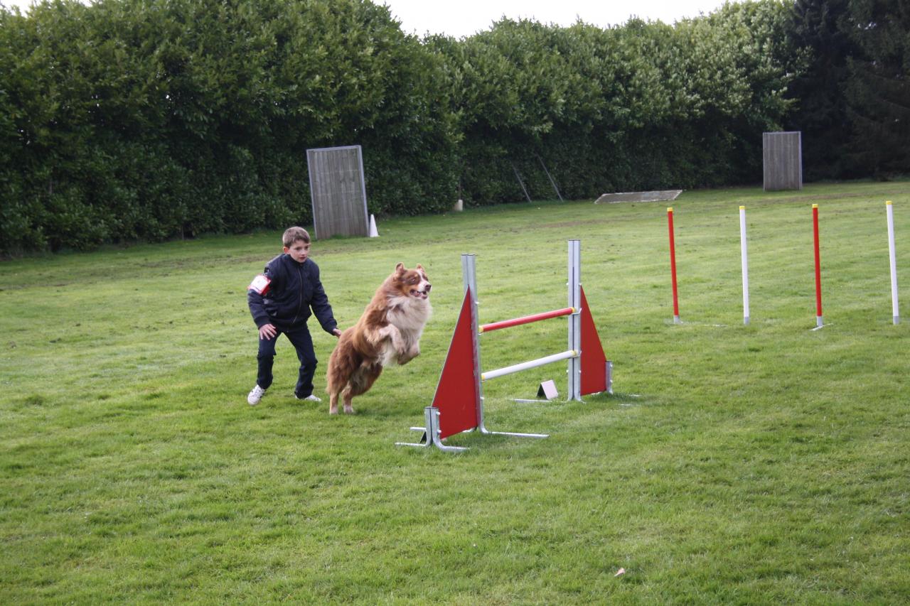 saut d'obstacle