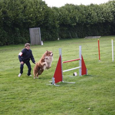 saut d'obstacle