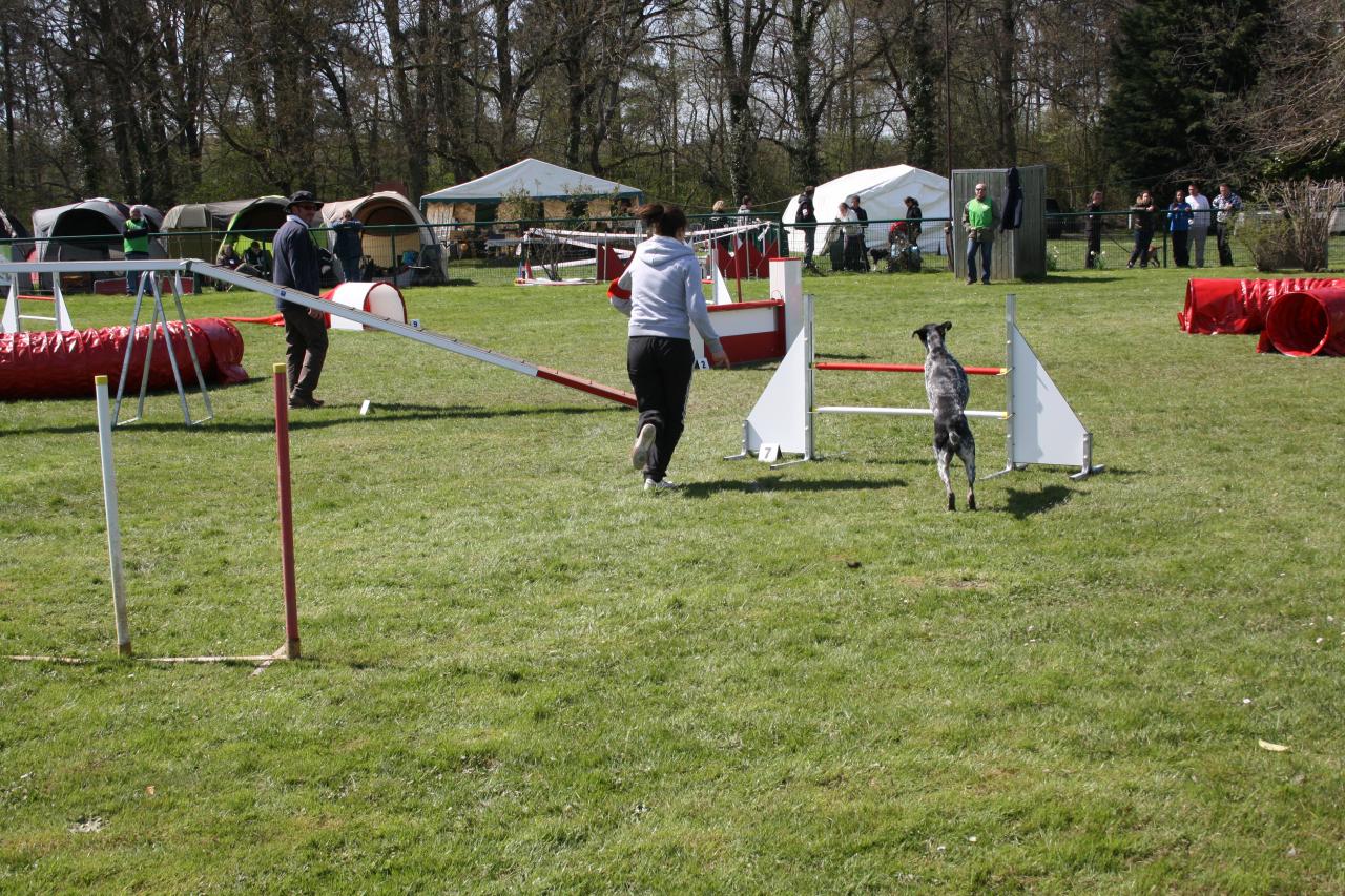 saut d'obstacle