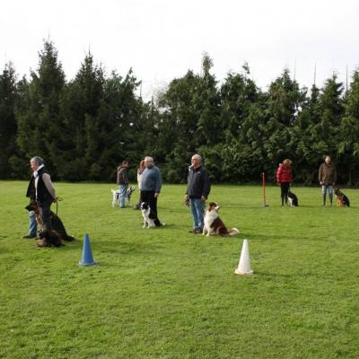 cours collectif - éducation canine