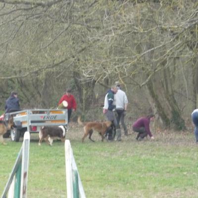 Bénévoles et les chiens ...