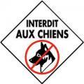 Interdit aux chiens 1