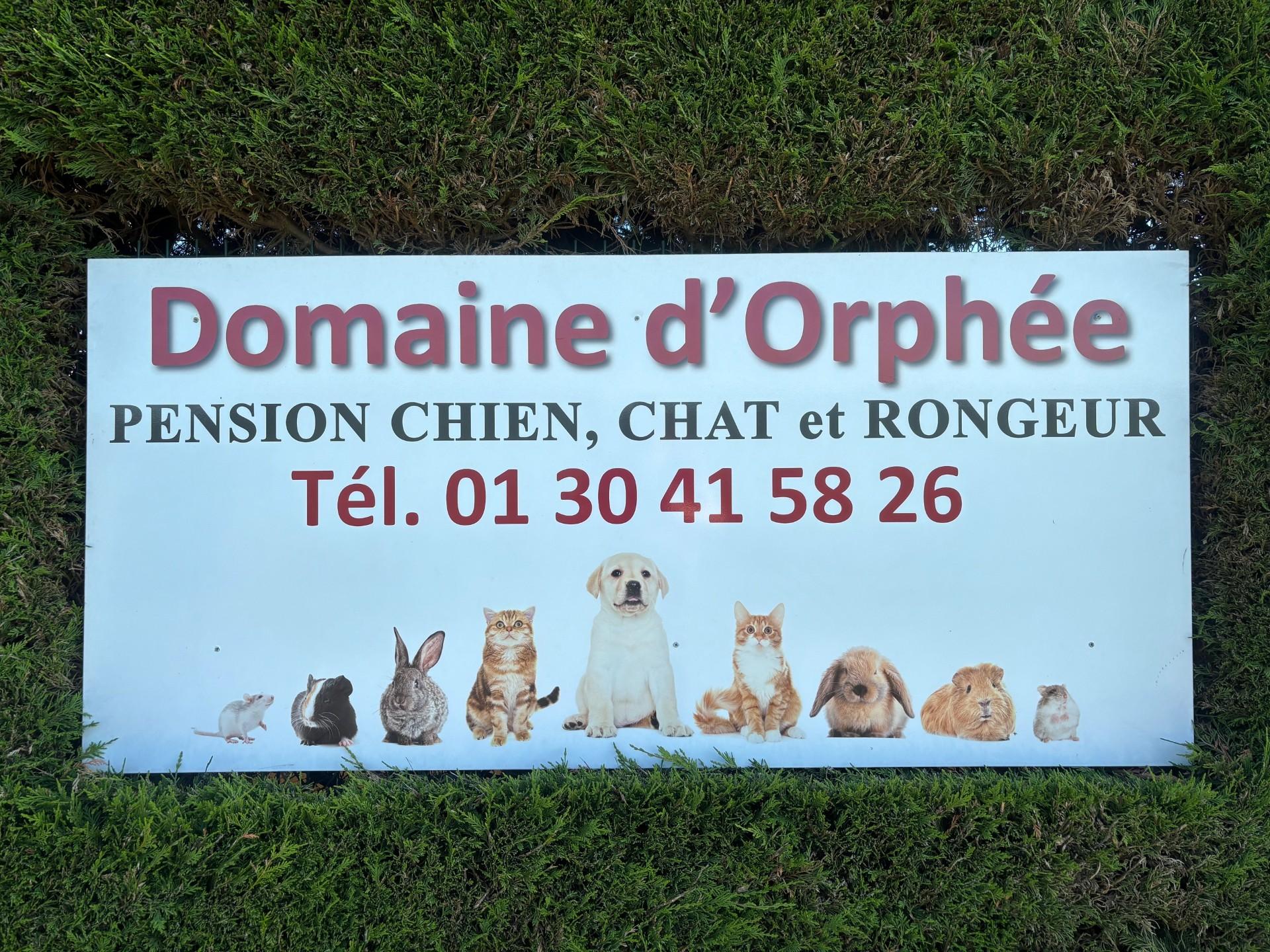 Domaine d'Orphée  Pension Pet Sitting  près de Versailles