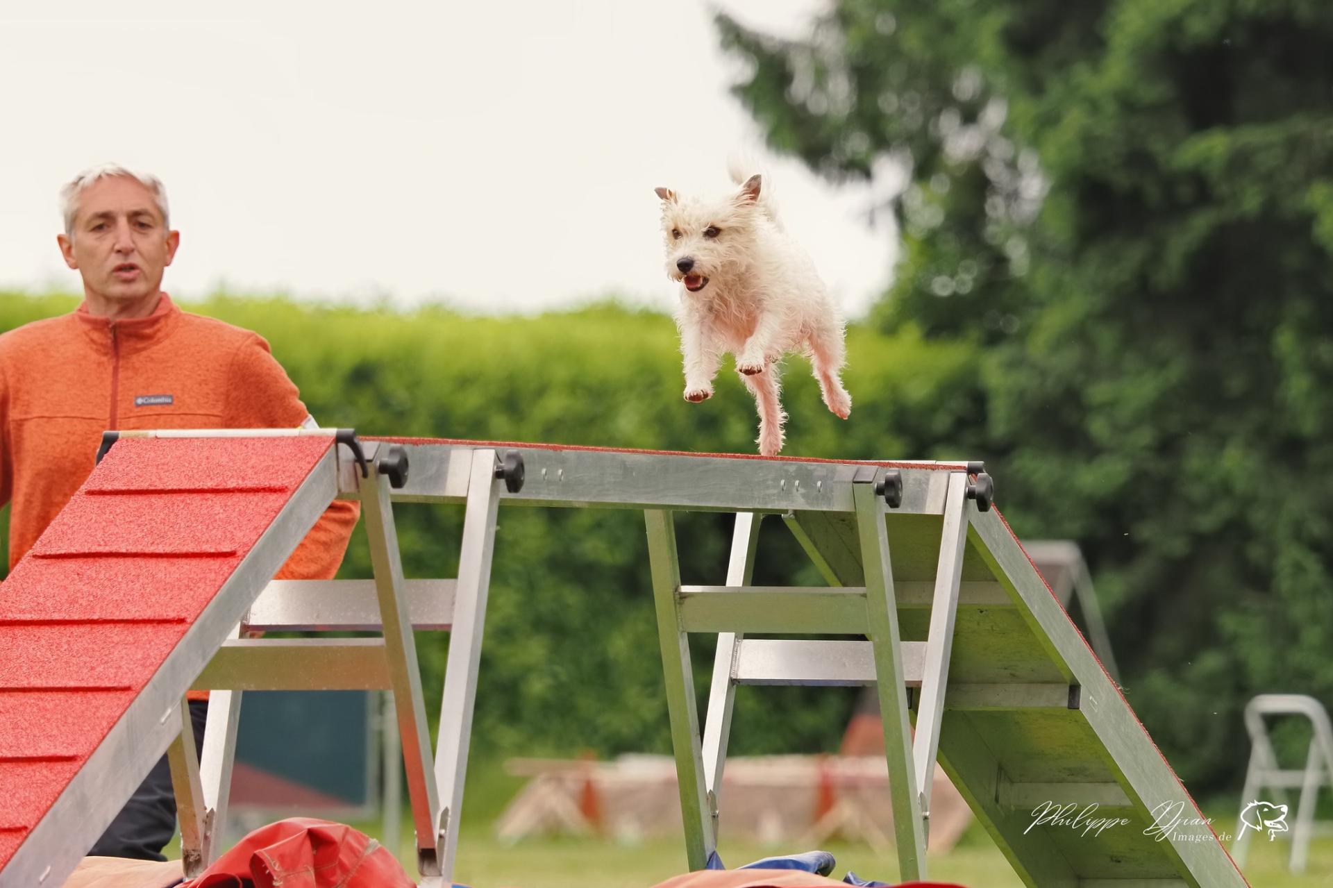 500791794 30136654222586547 3331335344239850499 n